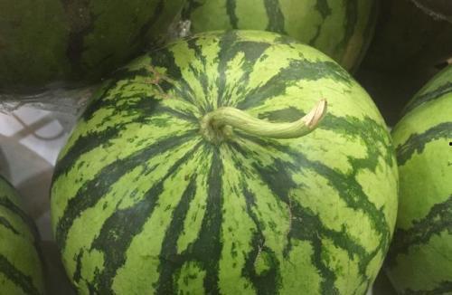 5.1吃瓜网官网,揭秘娱乐圈最新热点，带你畅游八卦海洋